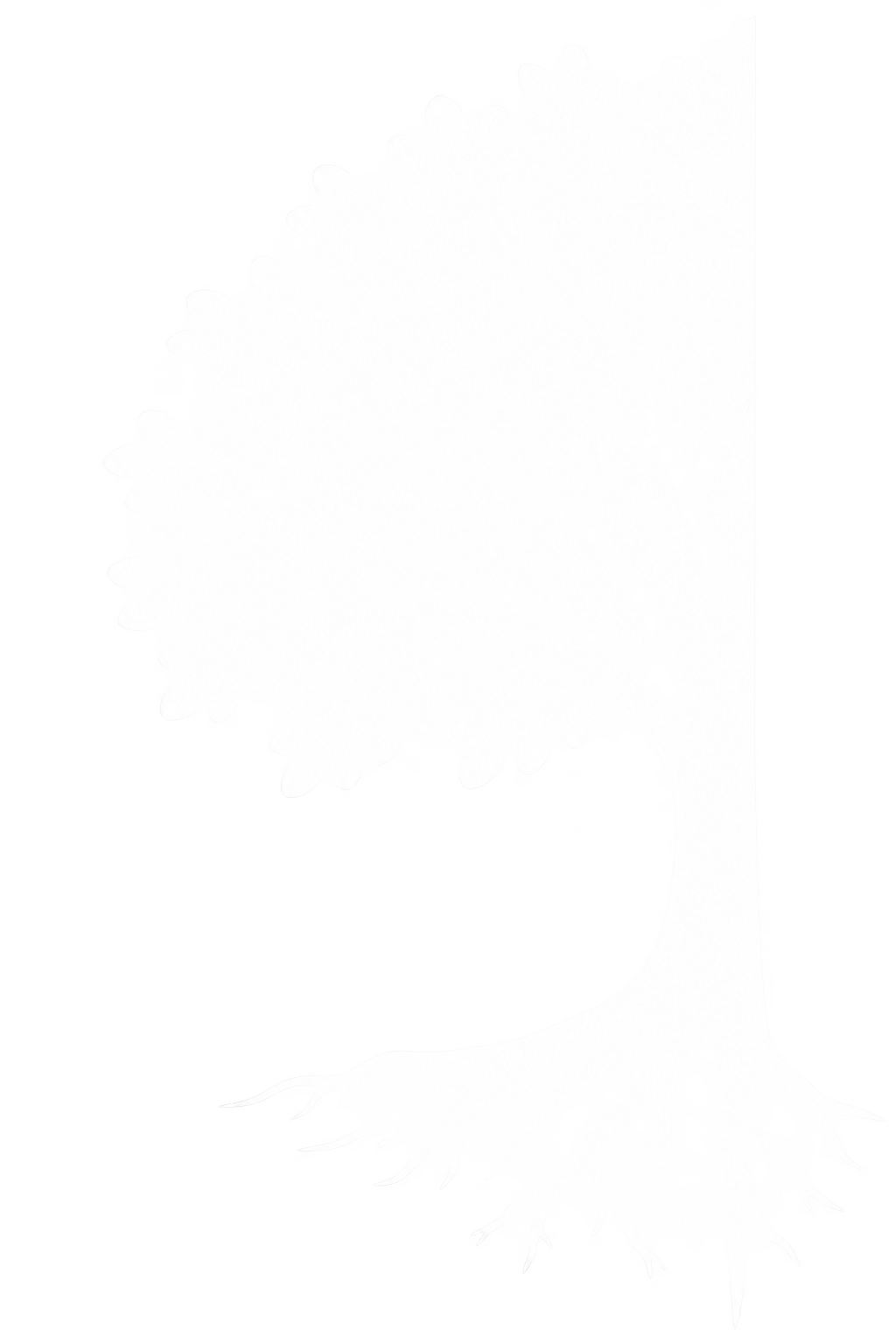 Logo Wald Glück